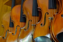 Online-Instrument-Shop-Austins-Violin-Shop-CTA-1